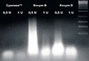 Cyanase comparison hi res 1_2klein.jpg